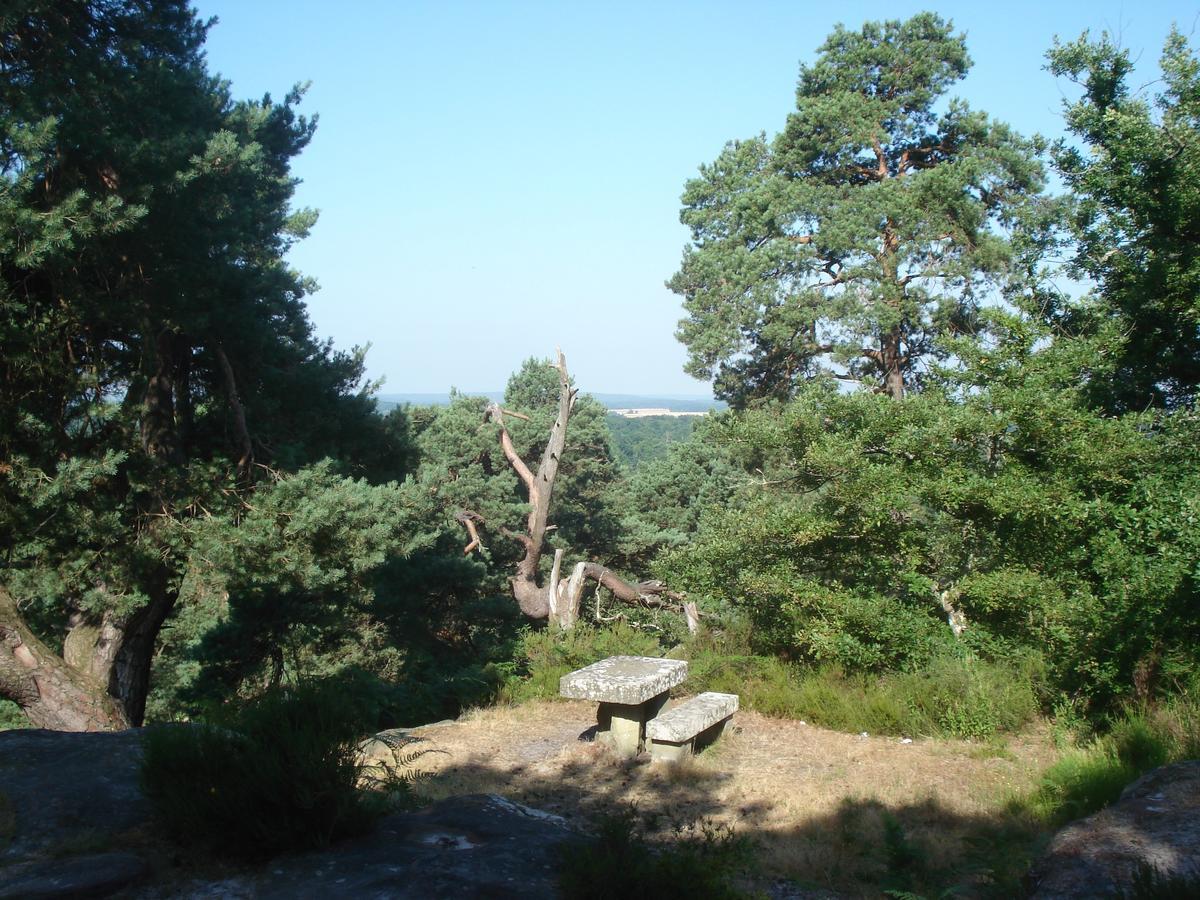 Les Premices De La Foret Chailly-en-Biere Экстерьер фото