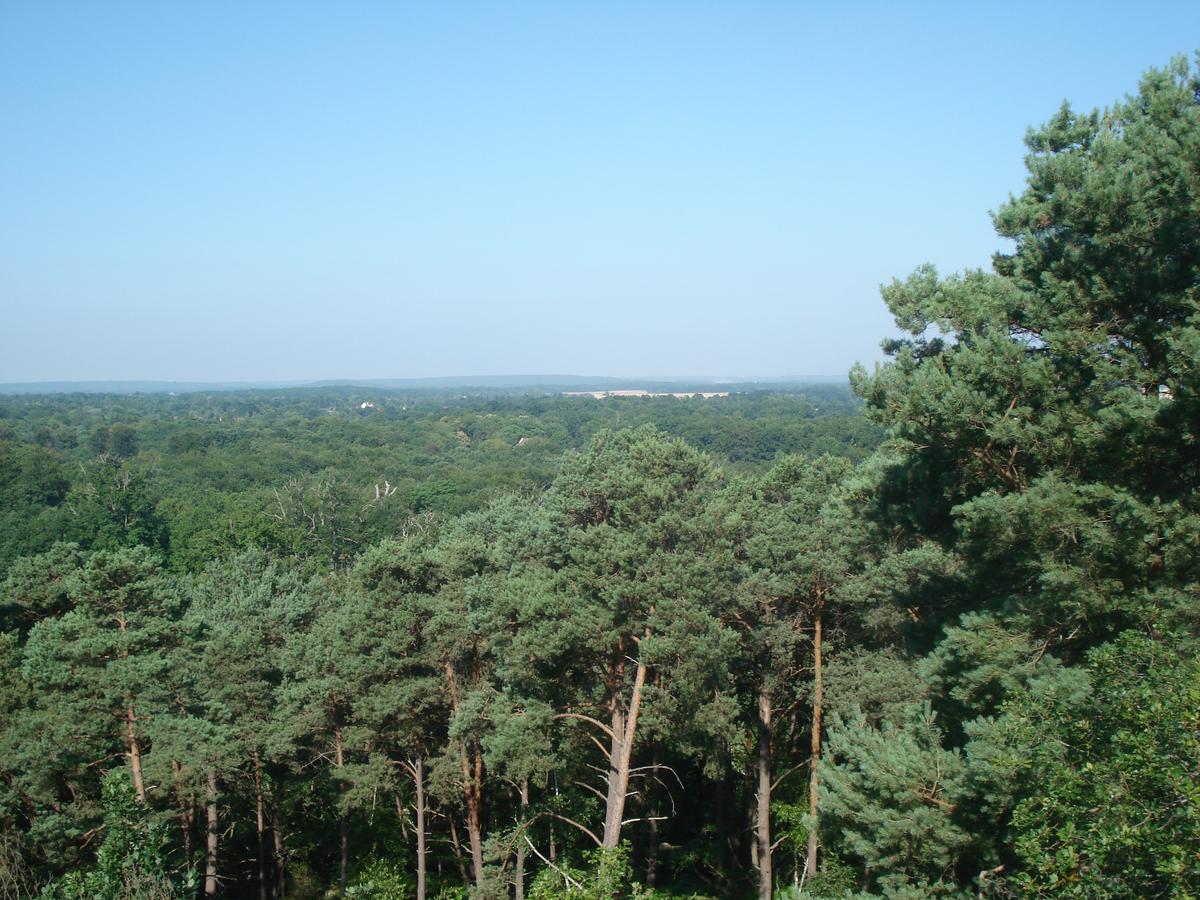 Les Premices De La Foret Chailly-en-Biere Экстерьер фото